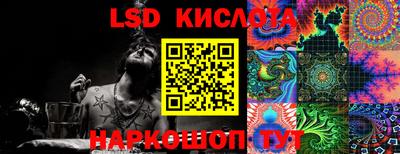 индика Гусев