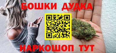 индика Гусев