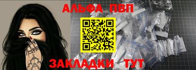 индика Гусев