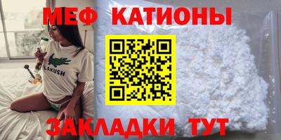 индика Гусев