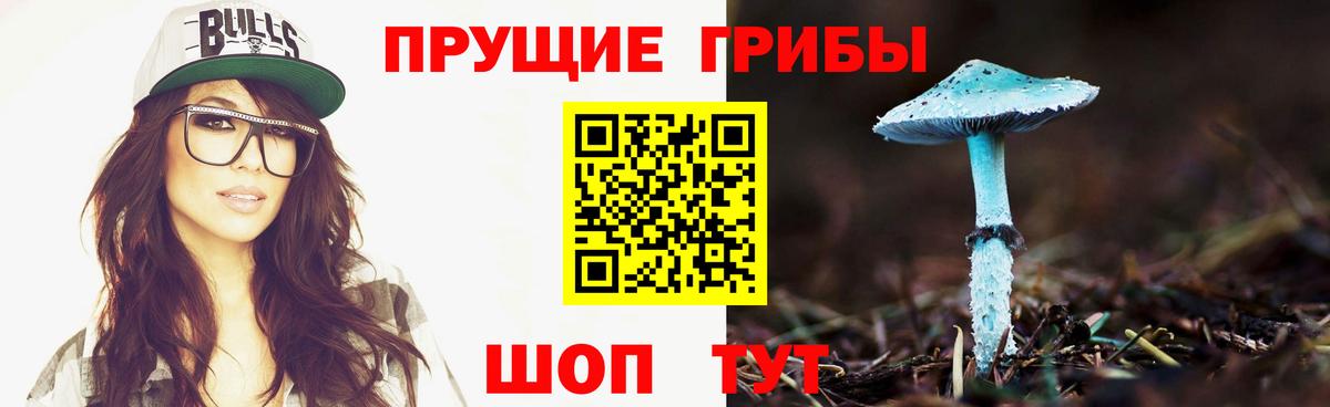Галлюциногенные грибы прущие грибы Нарткала